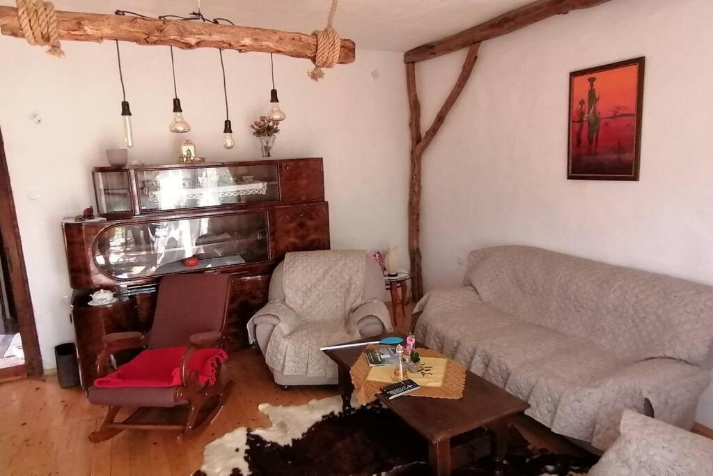 Etno Smestaj Stojadinovic Svrljig Dış mekan fotoğraf
